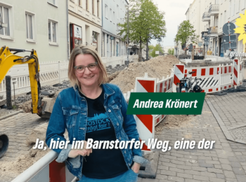 Andrea Krönert erklärt grundlegende Ziele der Wäremwende in Rostock