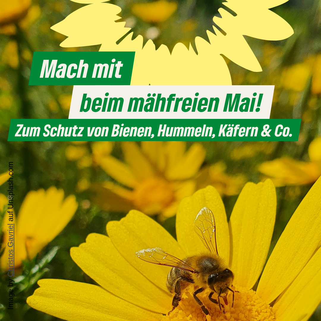 Mach mit beim mähfreien Mai!