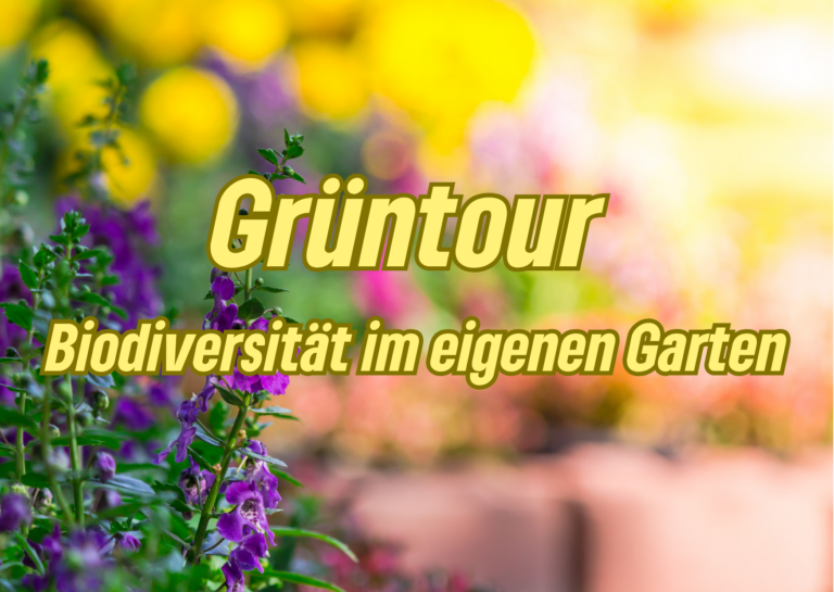 Wie kann ein Garten gestaltet werden, indem sich auch heimische Pflanzen und Tiere wohlfühlen?