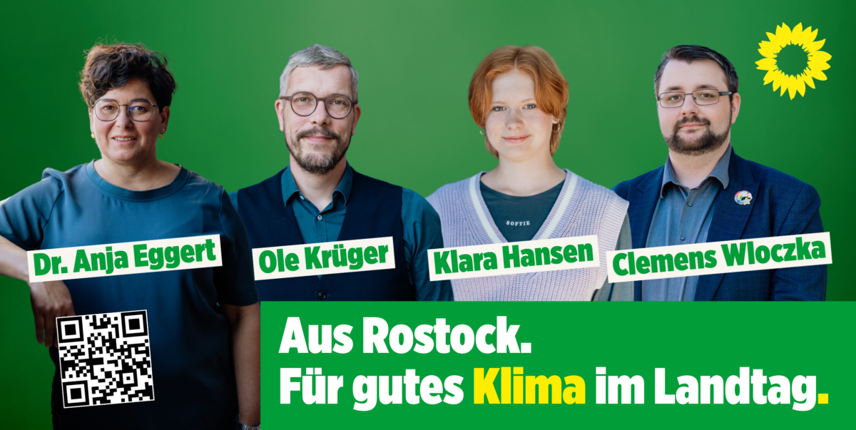 Unsere Direktkanditat:innen für den Schweiner Landtag