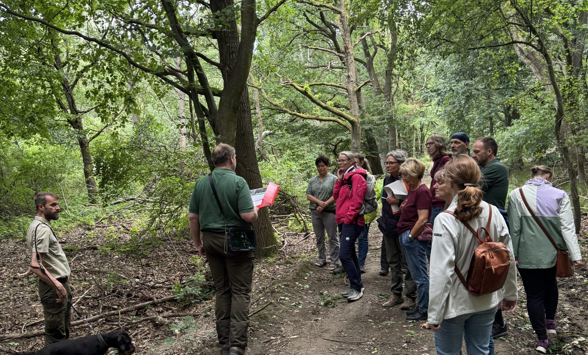 Mit dem Rad in die Rostocker Heide: Gemeinsam Bäume pflanzen